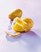 Close-up of peeled potato