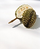 Halved spiny durian with white flesh on white background