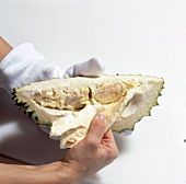 Close-up of man removing white pulp from durian