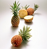 Whole and halved smooth cayenne pineapples on white surface