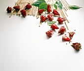 Buch der Exoten, Rosella, rot, Kapselfrucht, Blätter, Bambus