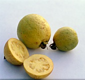 Buch der Exoten, Guaven, gelb, rund, runzlig, gelbes Fruchtfleisch