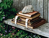 Stack of books with stone on top on wooden shelf