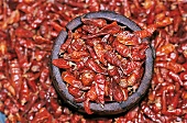 Indien - Getrocknete Chilischoten, rot, Mörser, Unschärfe