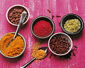 Different types of Indian spices in bowls with spoon