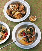 Indien - Huhn mit Koriander und Lamm mit Spinat auf Tellern