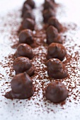 Close-up of chocolate pralines dusted with cocoa