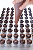 Canache wird durch Spritzbeutel in Hohlkugeln aus Schokolade gedrückt