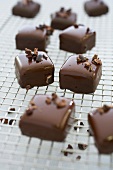 Close-up of praline chocolates with hazelnut on a grid