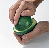 Close-up of hand untwisting halves of avocado on white background