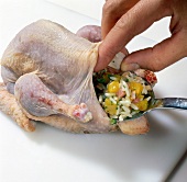 Mixture of rice, mango cubes and ham cubes being stuffed in guinea fowl