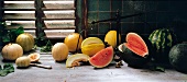 Das große Buch der Desserts: Diverse Melonensorten