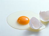 Close-up of broken eggshell with yolk and egg white on white background