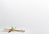 Chilli, lemon grass and Thai basil in white background, copy space