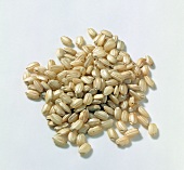 Close-up of brown rice on white background