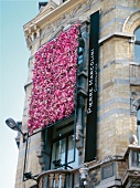 Chocolatier Pierre Marcolini in Brüssel, Fassade mit Blumen