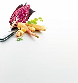 Red cabbage, ginger root and parsley on white background