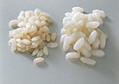 Reis, Rundkornreis, weiß, roh, gekocht, Italien, "Arborio"