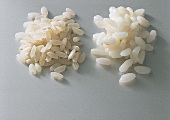 Reis, Rundkornreis, roh, weiß, gekocht, Italien, "Ribe"