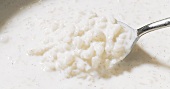 Close-up of rice in milk with spoon