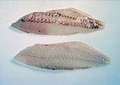 Two raw fillets of red fish on white background