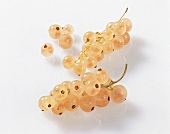 Bunch of white currants on white background