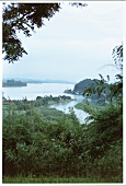 Flüsse Mekong und Mae Sai trennen Birma, Laos und Thailand, Landschaft