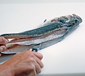 Fisch, Step 4: zweites Filet freilegen, länge nach durchschneiden