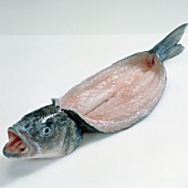 Close-up of filleted fish on white background, step 10