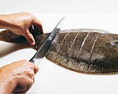 Fisch,   Step 17: Glattbutt in Scheiben schneiden