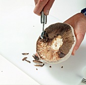 Close-up of hand scraping portobello mushroom with melon baller, step 3