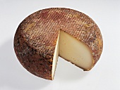 Buch vom Käse, Laib Hartkäse, gekerbte Rinde, "Pecorino toscano"