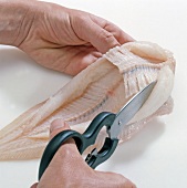 Close-up of hand cutting backbone of fish with scissors, step 6