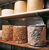 Buch vom Käse, "Blue Stilton"Käse im Regal, Blauschimmelkäse