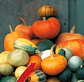 Close-up of various types of pumpkins