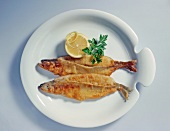 Breaded fish smelts with lemon slice and parsley in serving dish