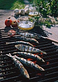 Fisch, Sardinen auf dem Grill Kräuter u. Gewürze