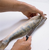Fisch, Step 15: Fischrücken m. Messer einschneiden
