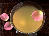 Drinks, Mayflower Martini mit Ro senblatt