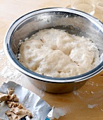 Bread dough in bowl