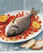 Grilled fish served with chopped tomatoes and lemon slices