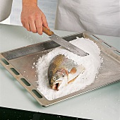 Fisch - Lachsforelle im Salzmantel, Step 2, mit Salz bestreichen