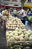 People buying cantaloupe charentais melons in wooden boxes at market