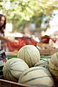 Close-up of charentais melons in wooden box at market