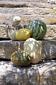Different types of melons
