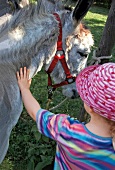 Girl stroking a donkey at Keller Edersee National Park in Hessen, Germany
