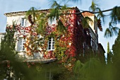 Landhotel "Domaine du Colombier" mit Wein bewachsen, grün, rot
