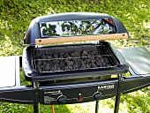 Gas grill with lava rock in park