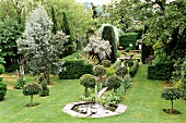 Mediterranean garden with elaeagnus, agaves and stream in England