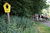 Tourists walking at tour in National park Kellerwald-Edersee, Hesse, Germany